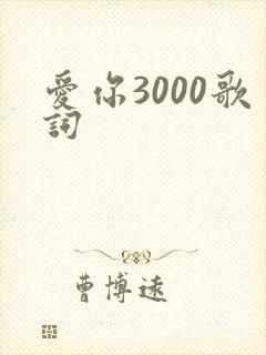 爱你3000歌词