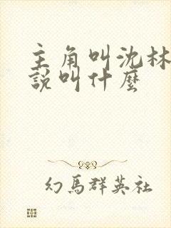 主角叫沈林的小说叫什么