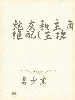 炮灰和主角才是绝配(主攻