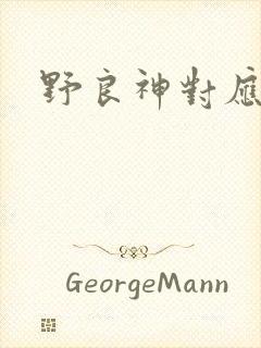 野良神对应漫画