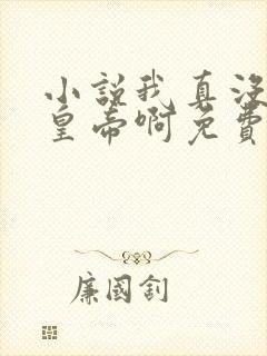 小说我真没想当皇帝啊免费看