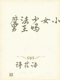 魔法少女小圆有男主吗