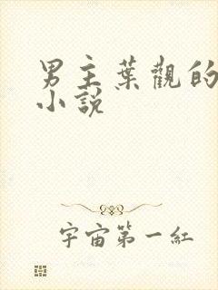 男主叶观的玄幻小说