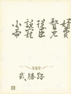 小说从赘婿到女帝宠臣免费阅读