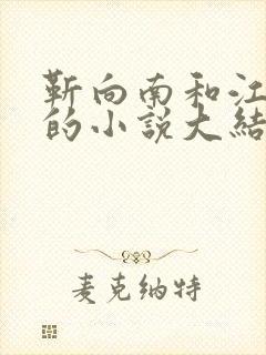 靳向南和江阮阮的小说大结局