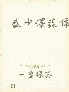 盛少泽苏锦小说