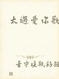 太过爱你歌词