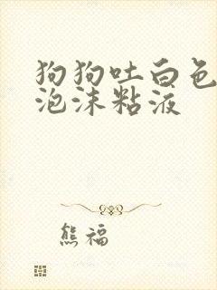 狗狗吐白色黄色泡沫粘液