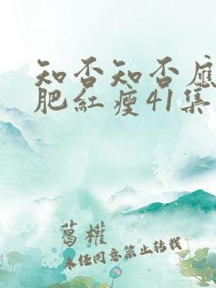 知否知否应是绿肥红瘦41集