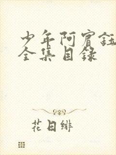 少年阿宾钰慧篇全集目录