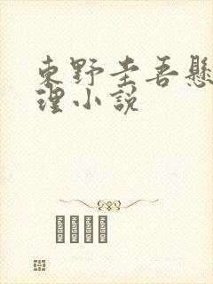 东野圭吾悬疑推理小说