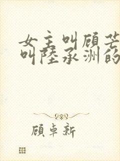 女主叫顾芒男主叫陆承洲的小说名字