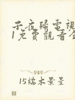 子夜归电视剧31免费观看全集高清