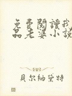 免费阅读我的极品老婆小说