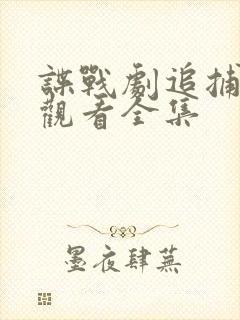 谍战剧追捕免费观看全集