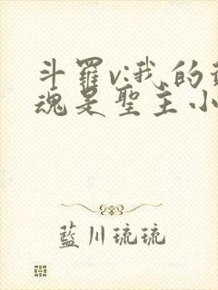 斗罗v:我的武魂是圣主小说