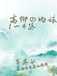 高柳の肉嫁动漫1～4集