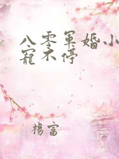 八零军婚小甜妻宠不停