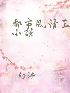 都市风情王枫的小说