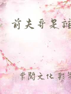 前夫哥是谁演的