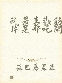 我最喜欢的动画片是哪吒闹海二年级