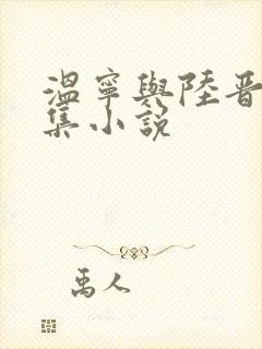 温宁与陆晋渊全集小说