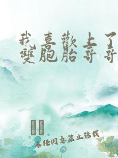 我喜欢上了我的双胞胎哥哥