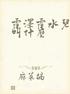 霍泽霍水儿小说叫什么