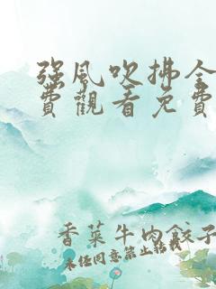 强风吹拂全集免费观看免费