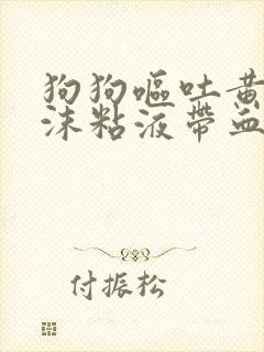 狗狗呕吐黄水泡沫粘液带血丝