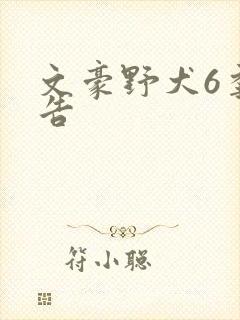 文豪野犬6季预告