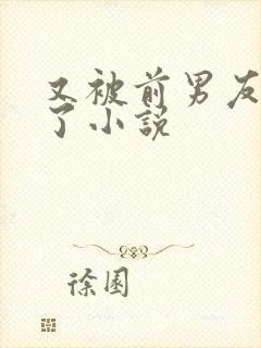 又被前男友盯上了小说