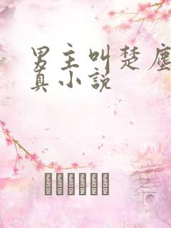 男主叫楚尘的修真小说