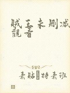 贼王未删减在线观看