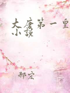 大唐第一皇太子小说