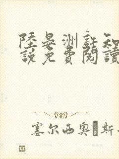 陆晏洲许知夏小说免费阅读最新章节