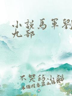 小说马军刘艳第九部