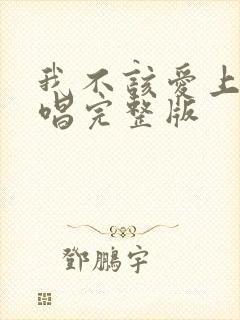 我不该爱上你原唱完整版