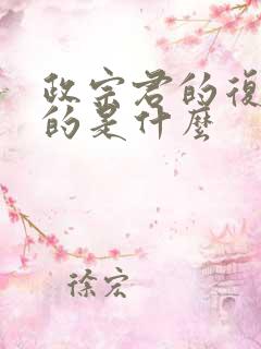 政宗君的复仇讲的是什么