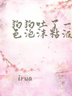 狗狗吐了一滩白色泡沫粘液方法