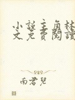 小说主角林枫全文免费阅读