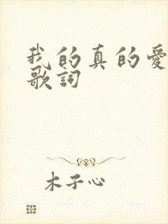 我的真的爱上你歌词