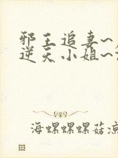 邪王追妻~废材逆天小姐~误惹妖孽王爷