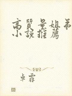 高质量姐弟恋的小说推荐