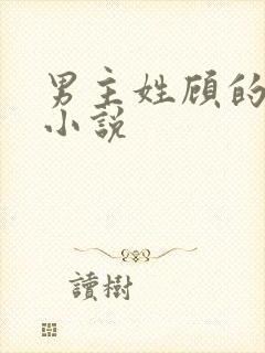 男主姓顾的全部小说