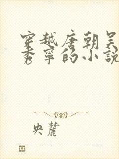 穿越唐朝吴缺李秀宁的小说