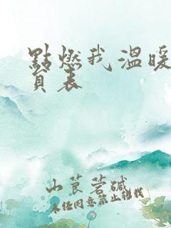 点燃我温暖你演员表