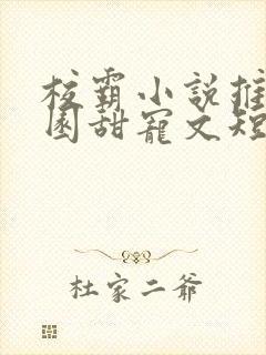 校霸小说推荐校园甜宠文短篇