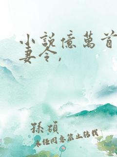 小说亿万首席追妻令,