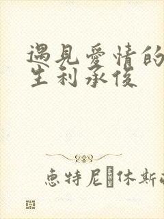 遇见爱情的利先生利承俊